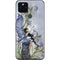 Amy Brown Creation Google Pixel 5 Skin